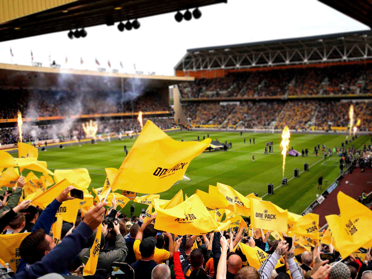 Wolves足球俱樂部品牌標志vi設計