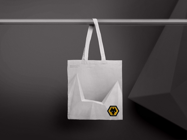 Wolves足球俱樂部品牌標志vi設計