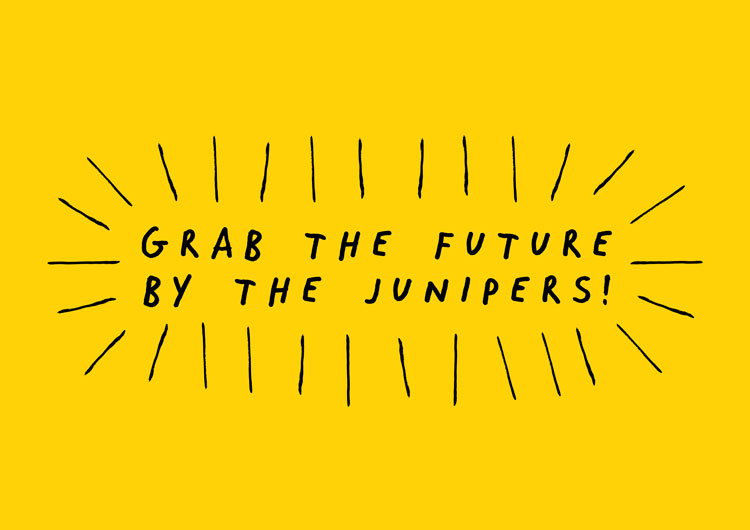 GinHub飲料公司vi設(shè)計