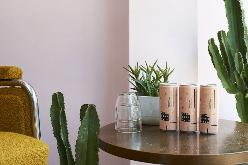 大老板棕櫚椰汁蘇打水品牌形象設(shè)計(jì)策劃和產(chǎn)品包裝設(shè)計(jì)