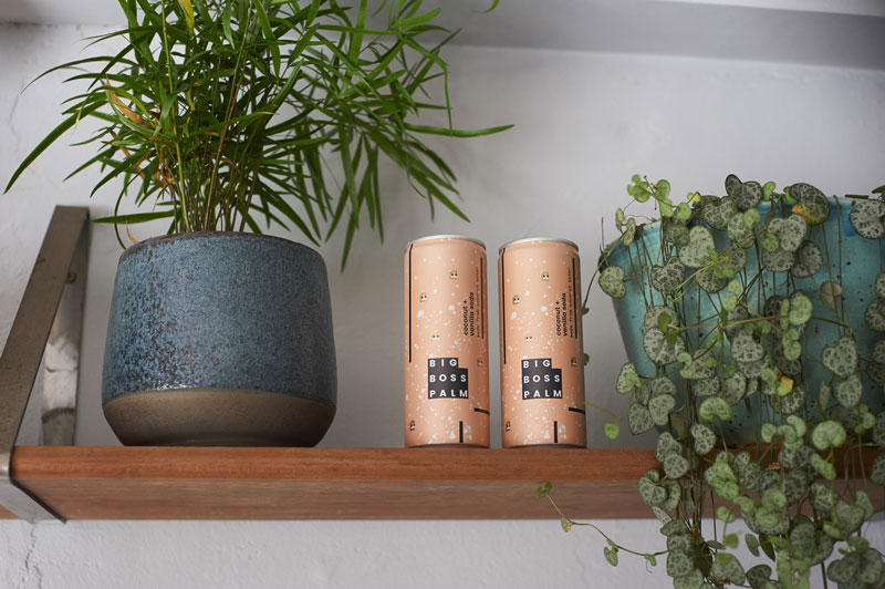 大老板棕櫚椰汁蘇打水品牌形象設(shè)計(jì)策劃和產(chǎn)品包裝設(shè)計(jì)