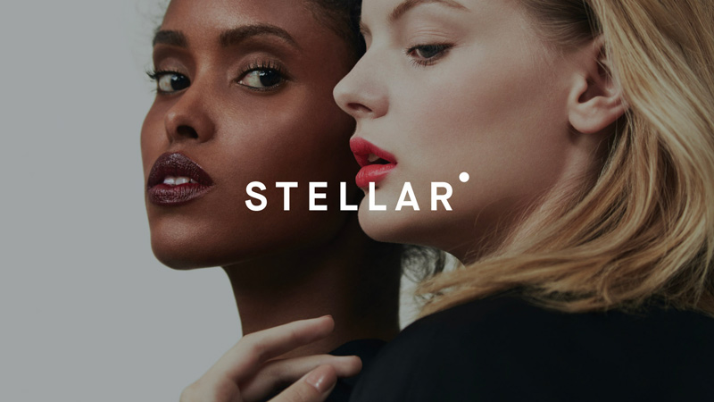Stellar美妝公司vi品牌形象設計案例分析