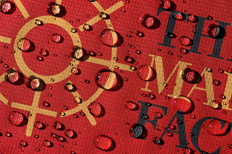 女性教育慈善機(jī)構(gòu)MaidenFactor品牌升價(jià)改造,logo設(shè)計(jì)