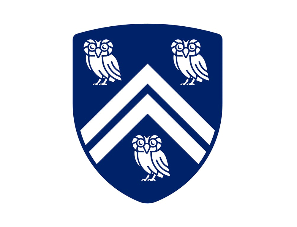 萊斯大學vi設計,品牌形象改造,logo設計